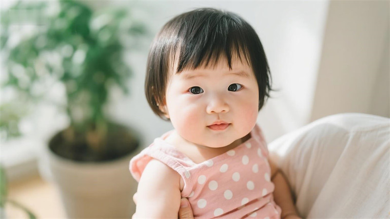 胡姓女孩名字大全2024属龙 胡姓属龙女孩名字推荐2024