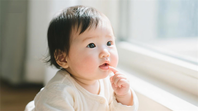姓康女孩起名字大全免费属兔 属兔康姓女孩免费取名大全