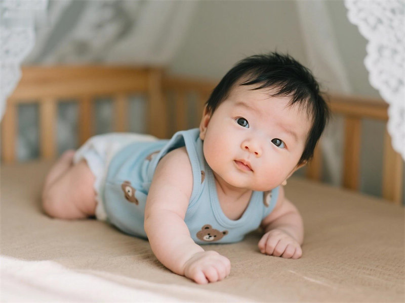 男孩新颖有涵养的陶姓名字 陶姓男孩新颖雅致名字精选