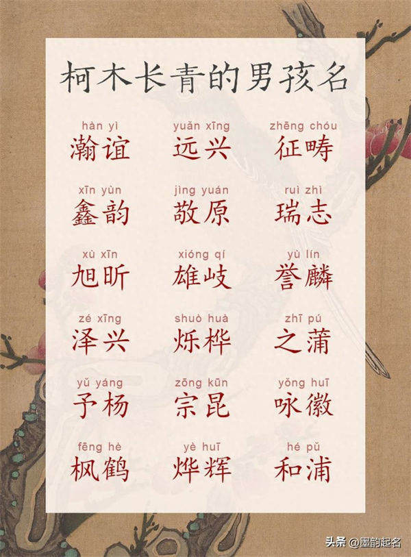墨韵名字：柯木长青的男孩名