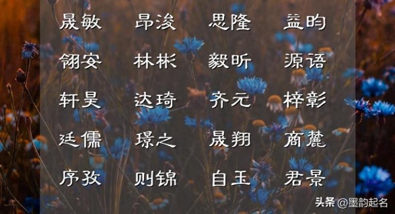 今年:琬玉之美的女宝宝名赏析