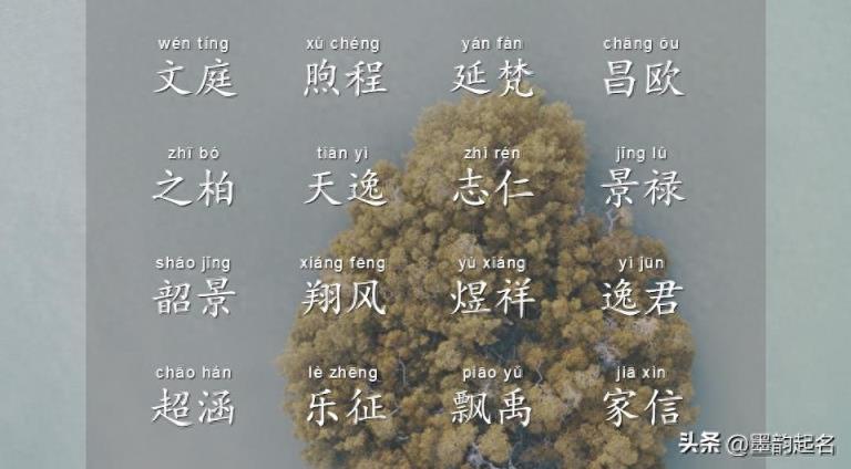 为隽刻心头的男孩,从国学诗词中取一个潇洒英俊的名字