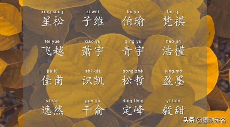 男宝宝名:结合音律,起个悦耳悦目的男宝宝名字,听着就开心