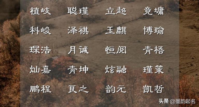 男孩名字库:这些男宝宝名字,个个爽朗清举