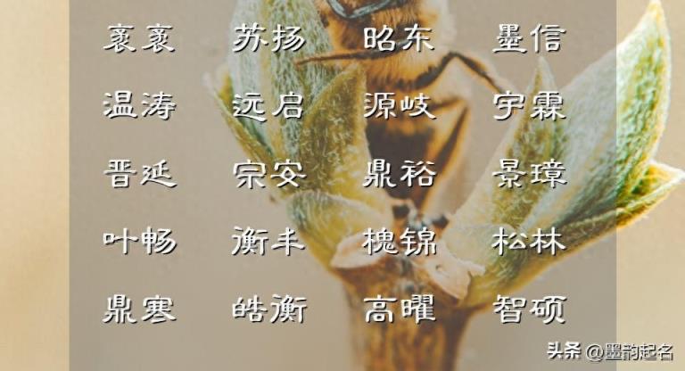 男孩名:参考意境之感,为刚出生的孩子起个才艺双馨的名字