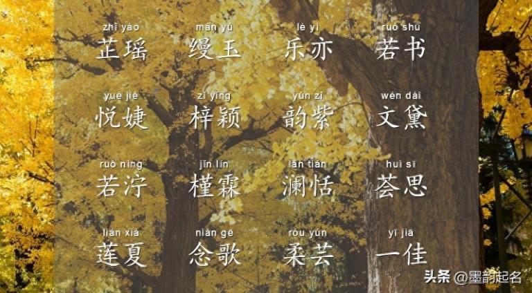 好听好记的女孩名,使人怎能不爱