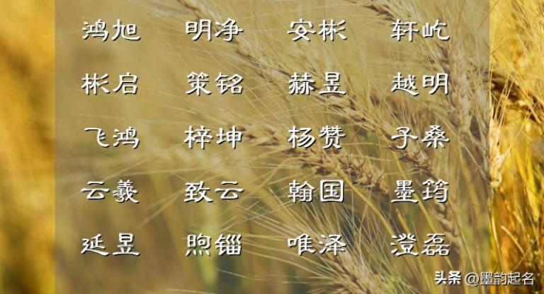 这样干净纯澈的男宝宝名字,您钟意吗?