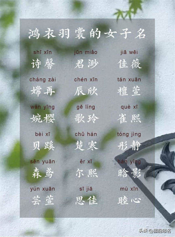 鸿衣羽裳的女子名