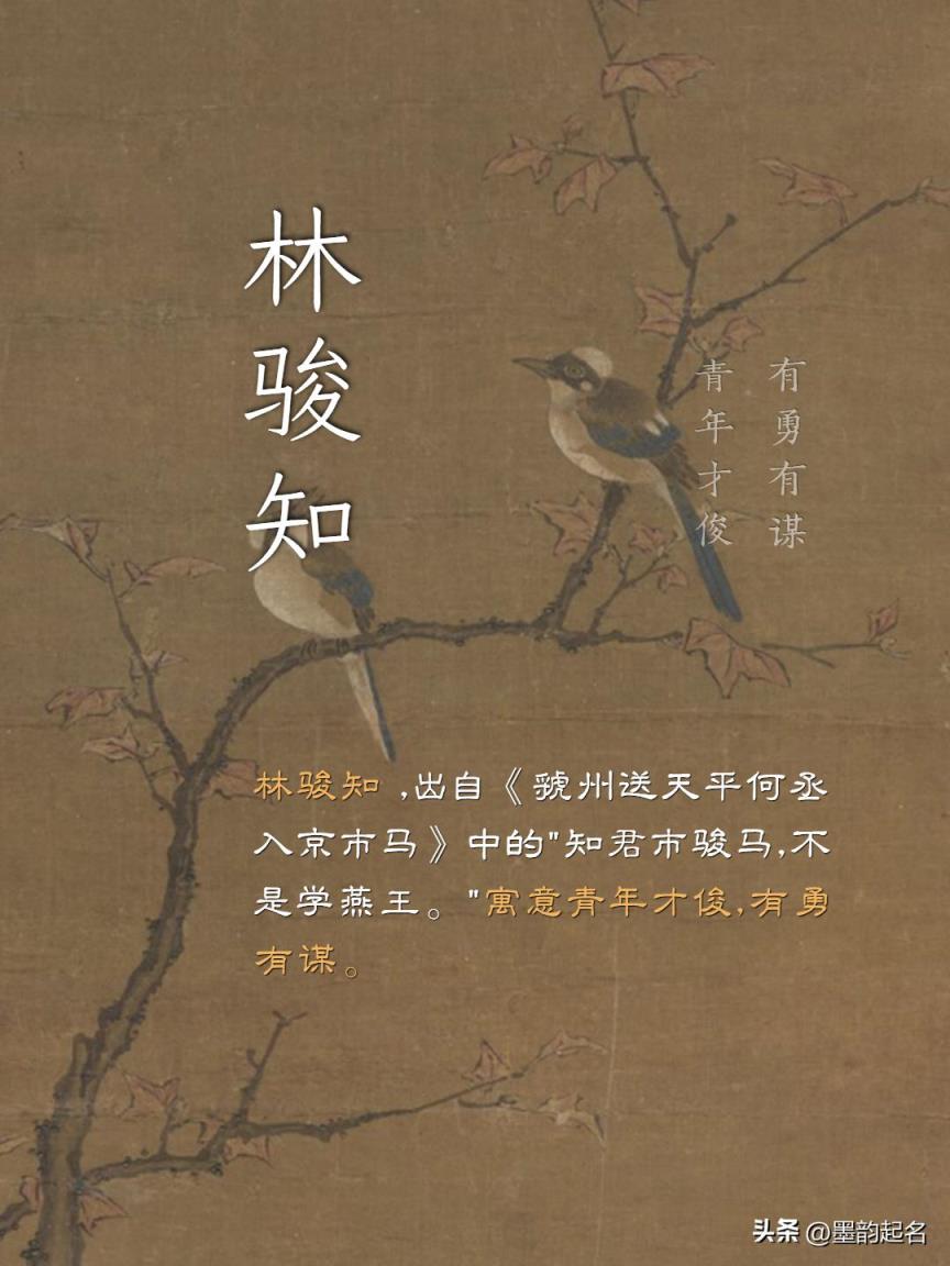 优优简简,品雅不凡的男孩名字,儒雅大方,不同凡响