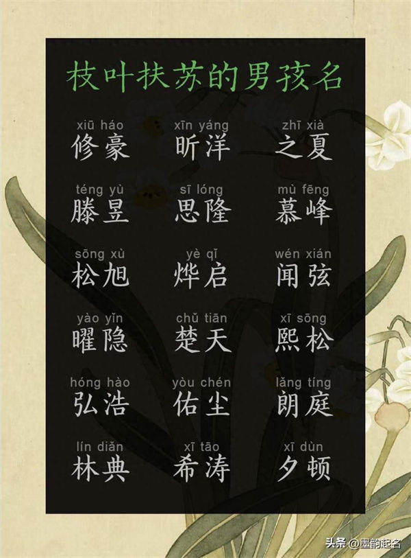 墨韵起名：枝叶扶苏的男孩名