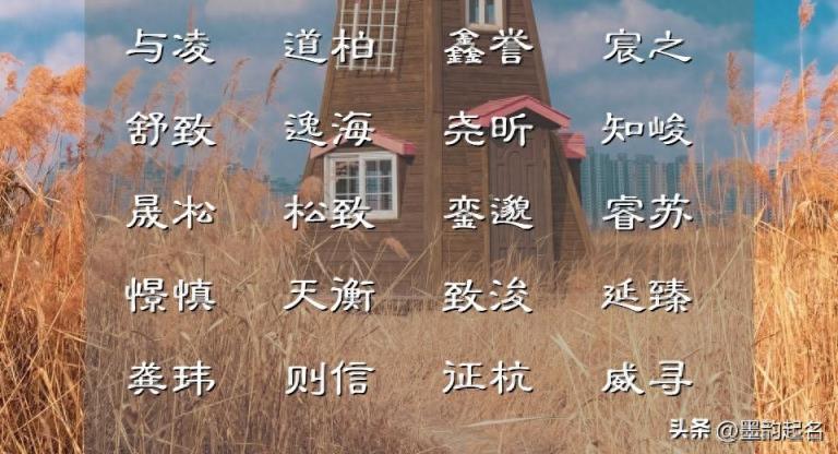 从诗词中想出的,独特印象、心胸开阔,休休有容的男孩名字