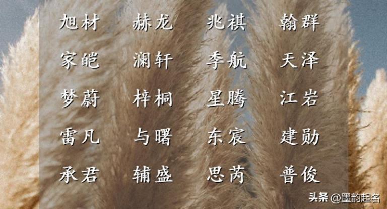 设计巧妙的男孩名字，愿美好相随