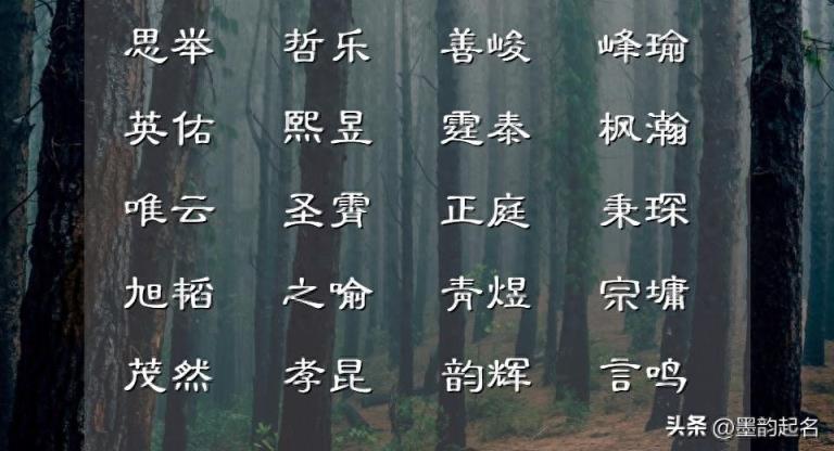 从十首古代诗词中,想出的会当凌绝顶的好名字