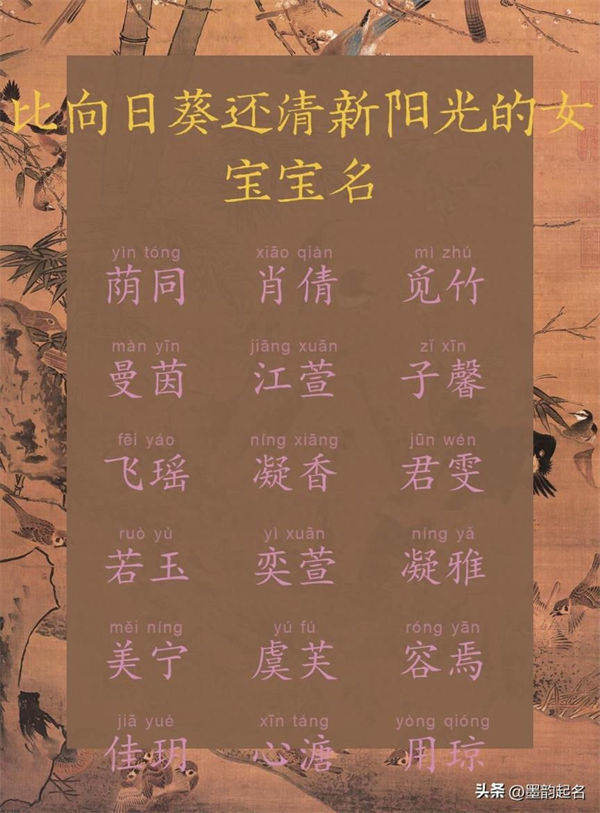 2024高分女孩名:比向日葵还清新阳光的女宝宝名字