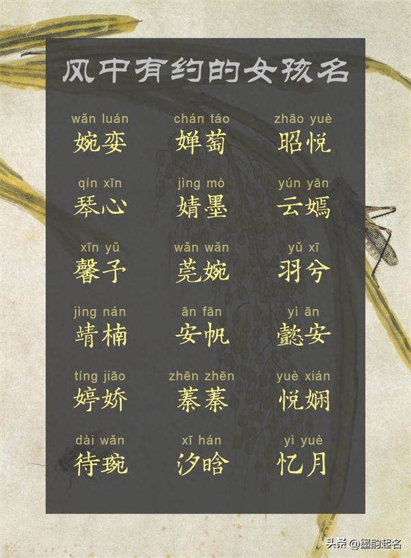 风中有约的女孩名