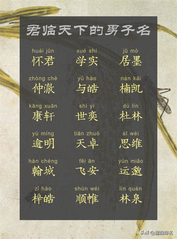 君临天下的男子名