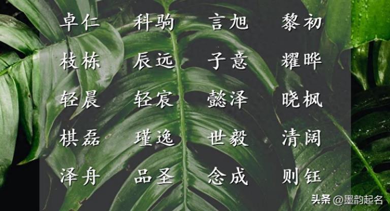 平安快乐的出自诗词的女孩名字集锦