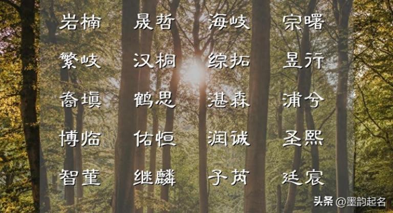 8月书香墨气的男孩取名精心收集,想要您在阅览完之后能收货满满