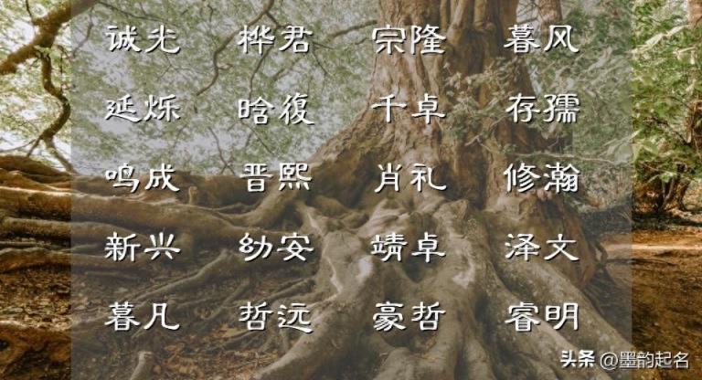告别子涵、佳淇这些泛滥名字,下面的名字可借鉴