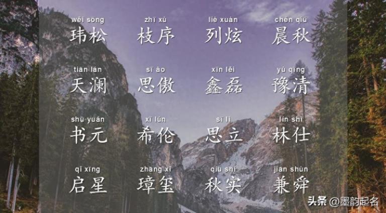 这些风华正茂的名字,歌颂岁月旋律,愿桉木长青