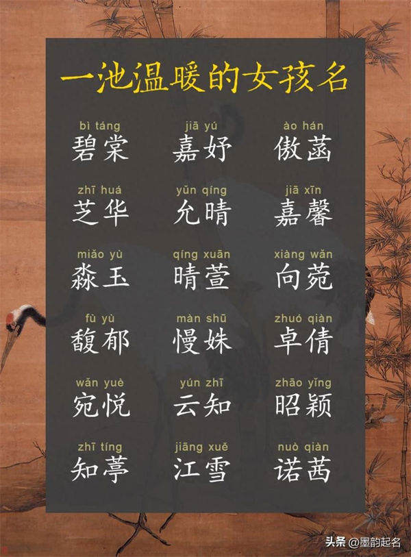 一池温暖的女孩名