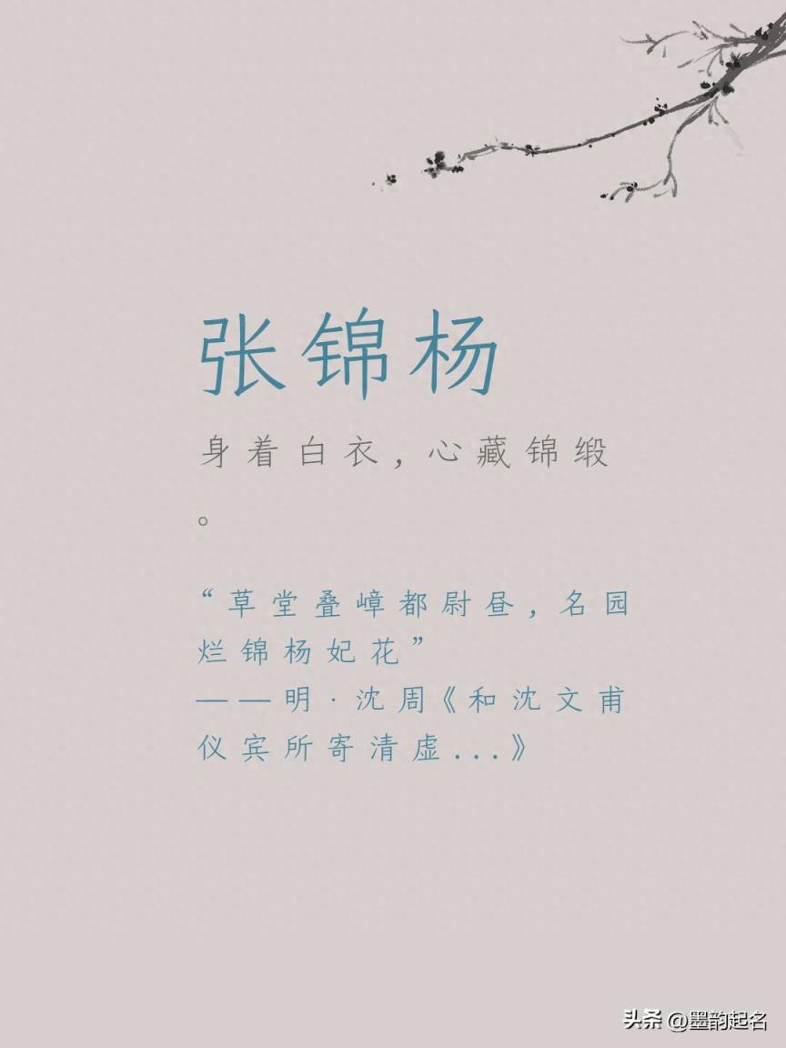 身着白衣,心藏锦缎的男宝宝名字