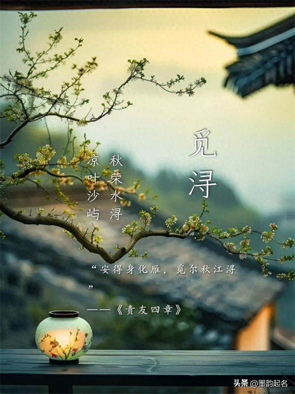 如诗如画的女孩美名，令人沉醉，引人瞩目
